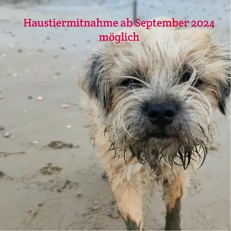 Henrys Reethüs Сasa de vacaciones