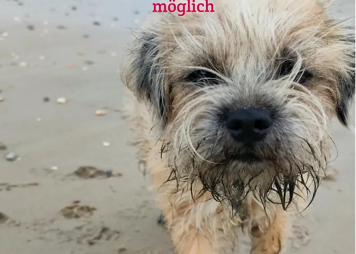 Henrys Reethüs Сasa de vacaciones